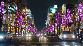 Osaka's Midosuji Boulevard lighting bags Guinness record