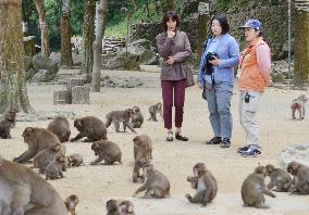 Author of book on legendary monkey boss visits park
