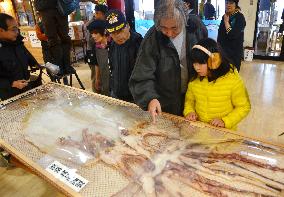Giant squid dried, exhibited at eastern Japan mall