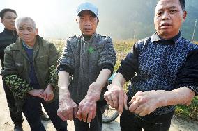 China farm land long contaminated with cadmium