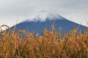 Mt. Fuji gets season's 1st snowcap