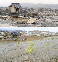 Tsunami in Japan: 5 years on