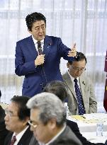 LDP cannot lose in upcoming elections: Abe