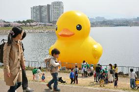 Rubber Duck floating in Sayama Pond in Osaka Pref.