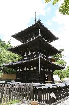 Kofukuji to open interior portions of 2 pagodas