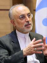 Iran would welcome Japanese supply of reactors: nuclear chief