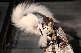 Kabuki actor Ichikawa Ebizo