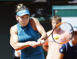 Tennis: Halep reaches French Open final