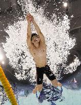 Swimming: World championships in Budapest