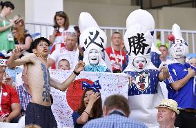 Football: Fans at World Cup