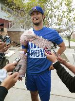 Baseball: Cubs' Darvish