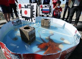 Octopus "predicts" Japan rugby team's performance at World Cup