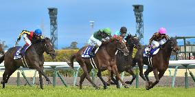 Horse racing: Takamatsunomiya Kinen G1 race
