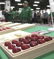 High-grade cherries fetch record price at Japan auction