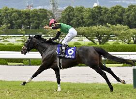 Horse racing: Titleholder wins Takarazuka Kinen