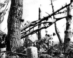 Damage done by U.S. atomic bombing of Hiroshima