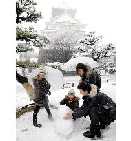 Heavy snow hits Pacific side of Honshu
