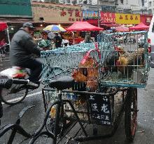 Birds on sale after market closure for avian flu scare