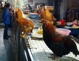 Live poultry trade in Shanghai