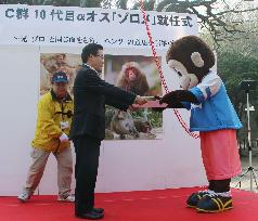 New boss monkey takes helm at Oita zoo