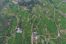 CHINA-GUANGXI-RONGAN-RURAL SCENERY (CN)