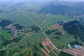 CHINA-GUANGXI-RONGAN-RURAL SCENERY (CN)