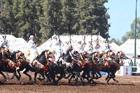 MOROCCO-RABAT-HORSE SHOW-FANTASIA