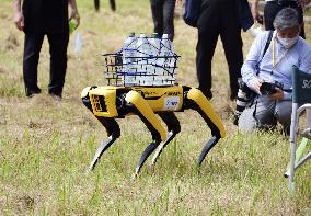 Demonstration of quadruped walking robot