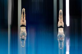 (SP)HUNGARY-BUDAPEST-FINA WORLD CHAMPIONSHIPS-DIVING-MEN'S 10M SYNCHRONISED