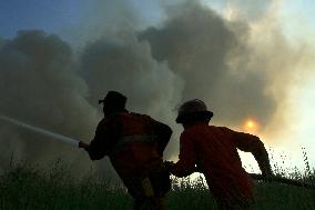 INDONESIA-SOUTH SUMATRA-PEATLAND-FIRE