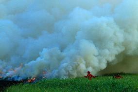 INDONESIA-SOUTH SUMATRA-PEATLAND-FIRE