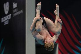 (SP)HUNGARY-BUDAPEST-FINA WORLD CHAMPIONSHIPS-DIVING-MIXED 3M&10M TEAM