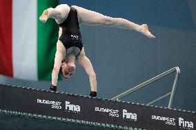 (SP)HUNGARY-BUDAPEST-FINA WORLD CHAMPIONSHIPS-DIVING-MIXED 3M&10M TEAM