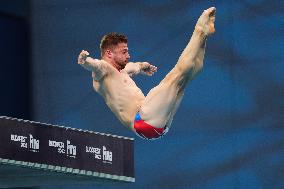 (SP)HUNGARY-BUDAPEST-FINA WORLD CHAMPIONSHIPS-DIVING-MIXED 3M&10M TEAM