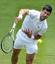 Tennis: Wimbledon championships