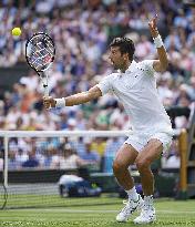 Tennis: Wimbledon championships