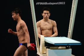 (SP)HUNGARY-BUDAPEST-FINA WORLD CHAMPIONSHIPS-DIVING-MEN'S 1M SPRINGBOARD