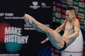 (SP)HUNGARY-BUDAPEST-FINA WORLD CHAMPIONSHIPS-DIVING-MEN'S 1M SPRINGBOARD