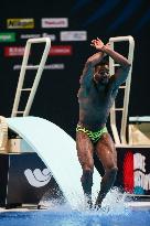(SP)HUNGARY-BUDAPEST-FINA WORLD CHAMPIONSHIPS-DIVING-MEN'S 1M SPRINGBOARD