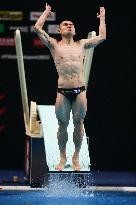 (SP)HUNGARY-BUDAPEST-FINA WORLD CHAMPIONSHIPS-DIVING-MEN'S 1M SPRINGBOARD