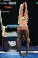 (SP)HUNGARY-BUDAPEST-FINA WORLD CHAMPIONSHIPS-DIVING-MEN'S 1M SPRINGBOARD