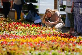 RUSSIA-MOSCOW-FLOWER FESTIVAL