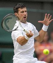 Tennis: Wimbledon championships