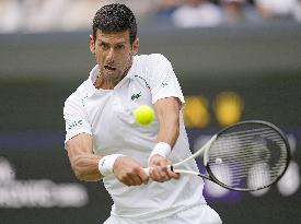 Tennis: Wimbledon championships