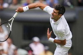 Tennis: Wimbledon championships