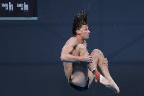 (SP)HUNGARY-BUDAPEST-FINA WORLD CHAMPIONSHIPS-DIVING-MEN'S 10M PLATFORM