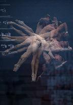 (SP)HUNGARY-BUDAPEST-FINA WORLD CHAMPIONSHIPS-DIVING-MEN'S 10M PLATFORM