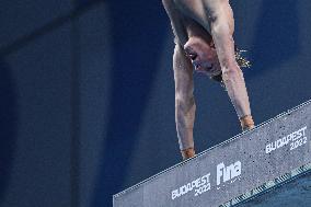 (SP)HUNGARY-BUDAPEST-FINA WORLD CHAMPIONSHIPS-DIVING-MEN'S 10M PLATFORM