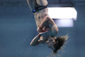 (SP)HUNGARY-BUDAPEST-FINA WORLD CHAMPIONSHIPS-DIVING-MEN'S 10M PLATFORM SEMIFINAL