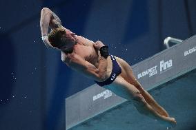 (SP)HUNGARY-BUDAPEST-FINA WORLD CHAMPIONSHIPS-DIVING-MEN'S 10M PLATFORM SEMIFINAL